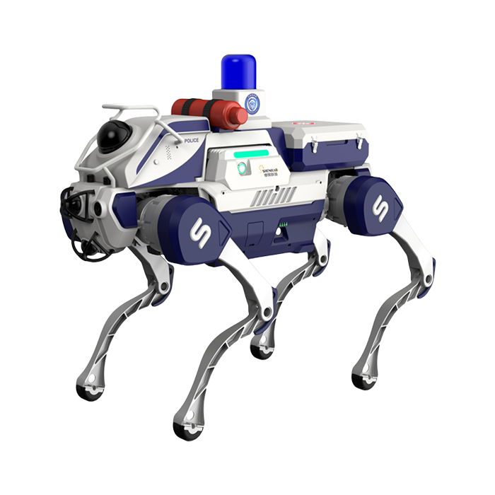d1
